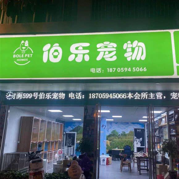 伯乐宠物:莆田市荔城区正荣时代广场附近