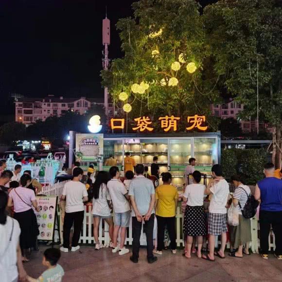 口袋萌宠:莆田市荔城区馨宜新天地广场附近