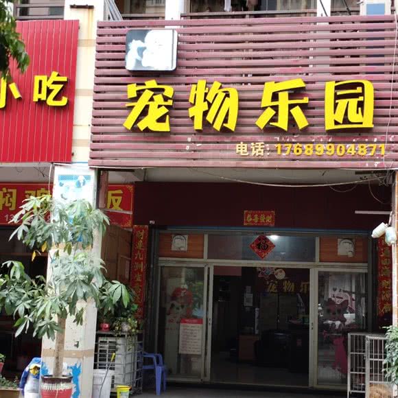宠物乐园:莆田市荔城区黄石镇附近