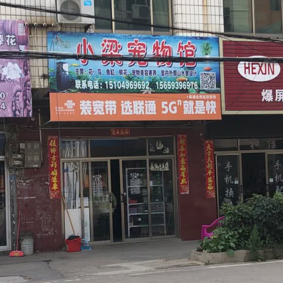 小梁宠物店:莆田市秀屿区东埔镇附近