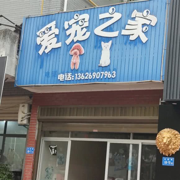 爱宠之家:莆田市仙游县仙游县附近