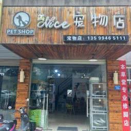 Nice宠物:莆田市仙游县仙游县附近