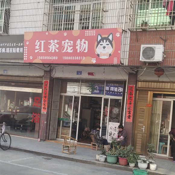 红茶宠物:莆田市仙游县仙游县附近