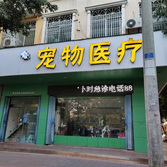 维派宠物医疗卫生:莆田市仙游县仙游县附近