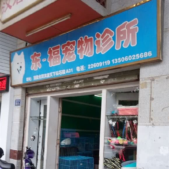 东福宠物诊所:泉州市鲤城区温陵路附近