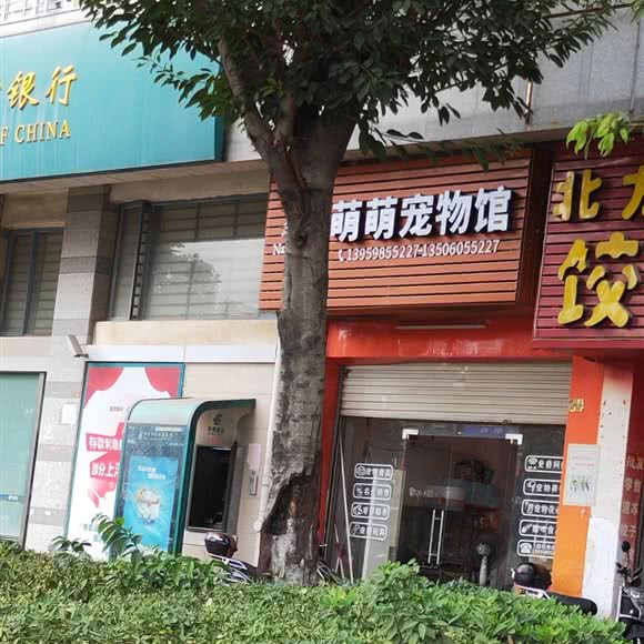 萌萌宠物馆:泉州市鲤城区浮桥附近