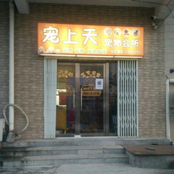宠上天宠物会所:北京城区怀柔区怀柔区附近