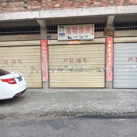 兽医宠物狗诊所:泉州市鲤城区浮桥附近