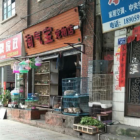 淘气宝宠物店:泉州市鲤城区T淘园附近