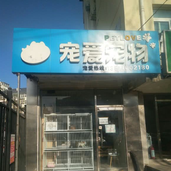 宠爱宠物:北京城区怀柔区怀柔区附近