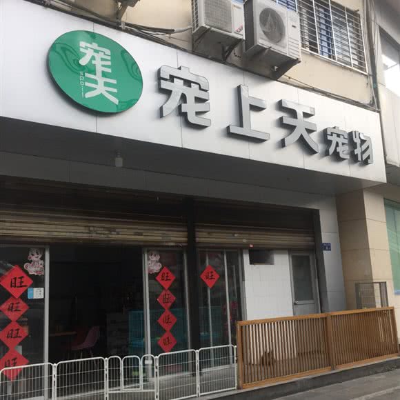 宠上天宠物(温陵北路店):泉州市鲤城区文庙/涂门街附近