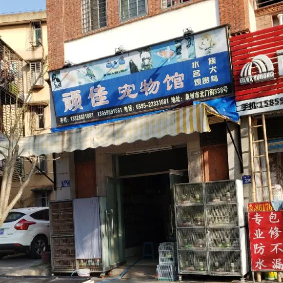 顽佳宠物馆:泉州市鲤城区北门街/中山公园附近