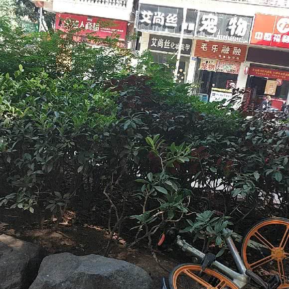 毛乐融融(美食街分店):泉州市丰泽区美食街附近