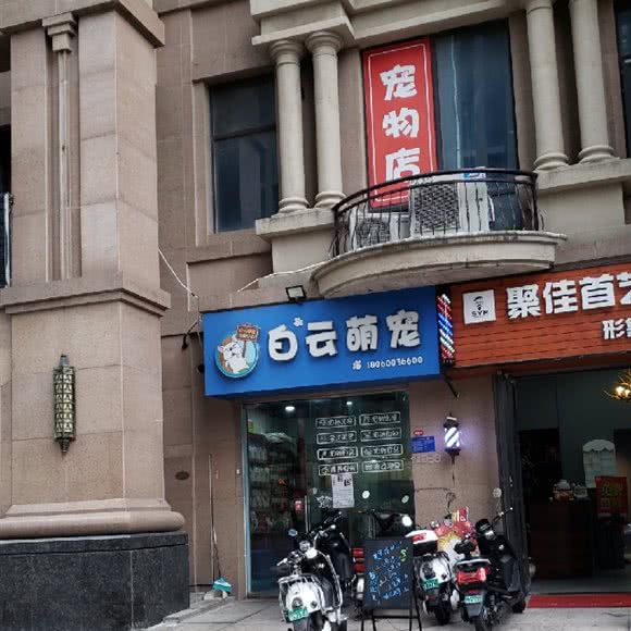 白云萌宠:泉州市丰泽区浦西万达广场附近