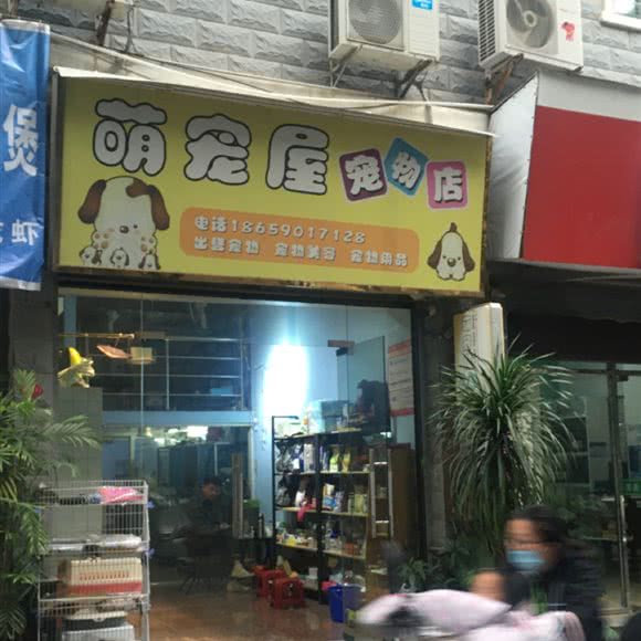萌宠屋宠物店:泉州市丰泽区泉秀路/星光不夜城附近