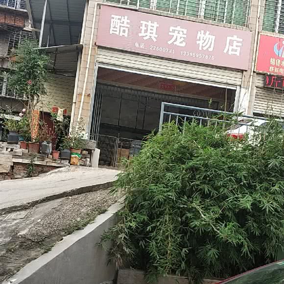 酷琪宠物店:泉州市丰泽区东海/黎明大学附近