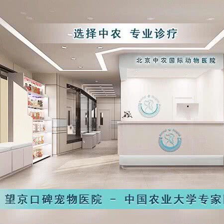 中农国际动物医院:北京城区朝阳区望京附近