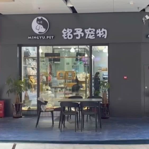 铭予宠物(星光耀店):泉州市丰泽区中骏世界城附近