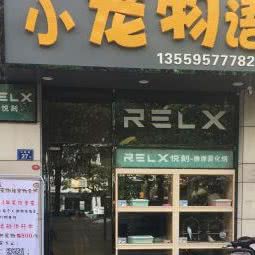 小宠物语:泉州市丰泽区国贸商城/环球城附近