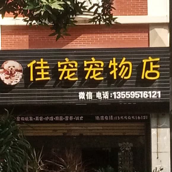 佳宠宠物店:泉州市丰泽区西湖公园周边附近