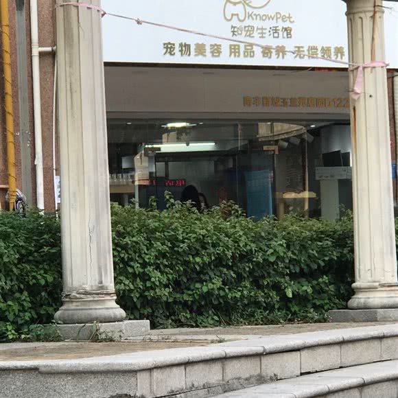 知宠生活馆:泉州市丰泽区宝洲路附近