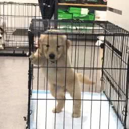 TOUCH PET它趣咖啡店:泉州市丰泽区北峰附近