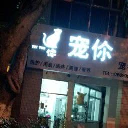 宠你宠物店:泉州市丰泽区湖心街附近