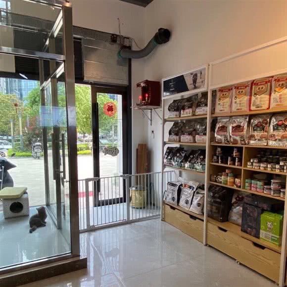 美狗岛宠物:泉州市丰泽区后埔浔埔/丰海路附近