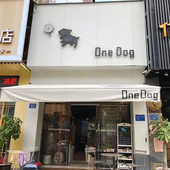 onedog:泉州市丰泽区津淮街附近