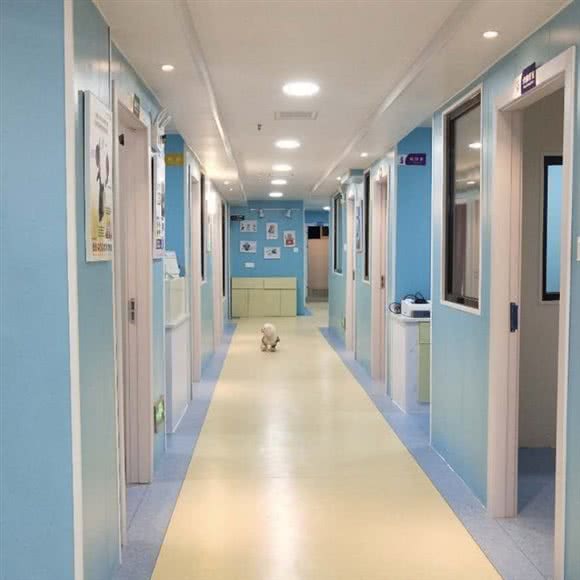 仁和宠物医院:泉州市丰泽区津淮街附近