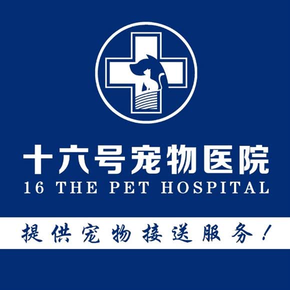 十六号宠物医院(洛江院):泉州市洛江区洛江附近