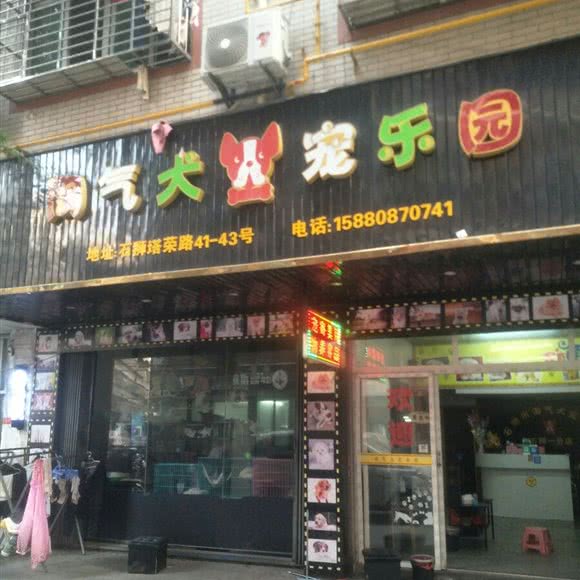淘气犬宠乐园(石狮一分店):泉州市石狮市湖滨街道附近