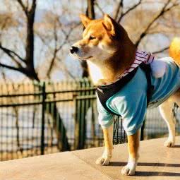 荣宠万千:北京城区怀柔区怀柔区附近