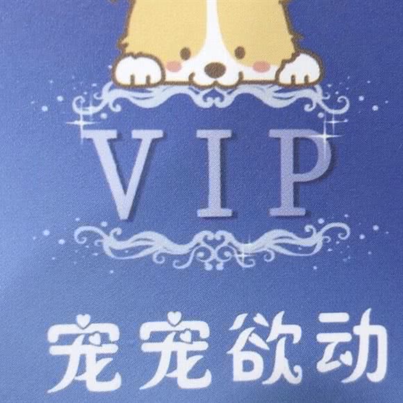 宠宠欲动:泉州市晋江市青阳街道附近