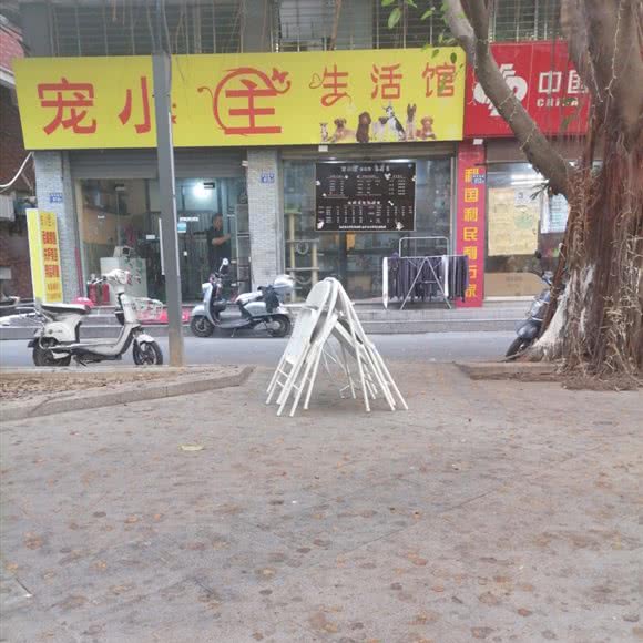 宠小主生活馆:泉州市晋江市青阳街道附近