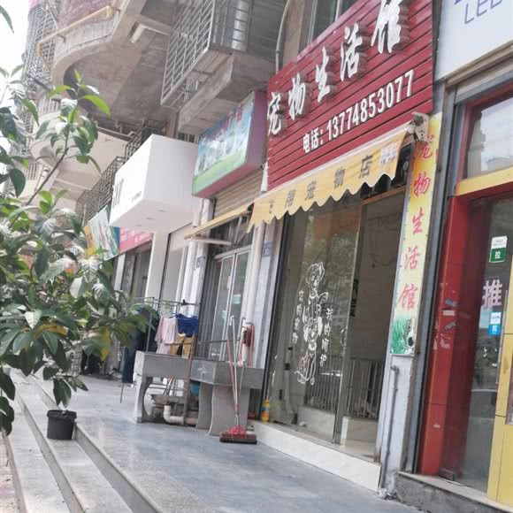飞翔宠物店:泉州市晋江市青阳街道附近