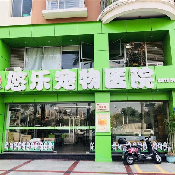 悠乐宠物医院:泉州市晋江市青阳街道附近