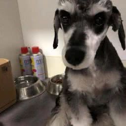 贝恩宠物诊所:泉州市晋江市青阳街道附近