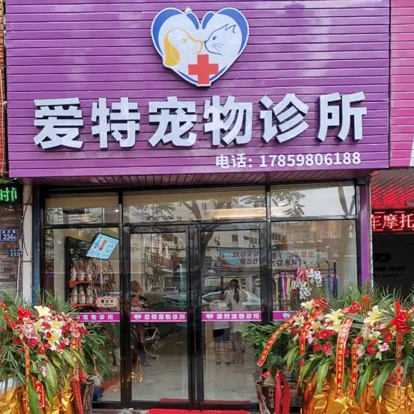 爱特宠物诊所:泉州市晋江市青阳街道附近