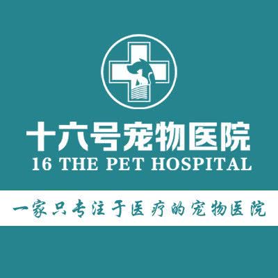 速诺宠物诊所(十六号宠物医院万达分店):泉州市晋江市梅岭街道附近