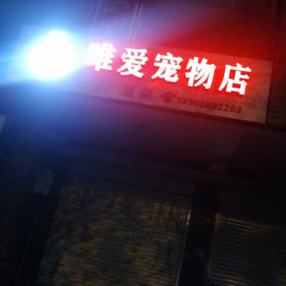 Lovepets唯爱宠物店:泉州市晋江市池店镇附近