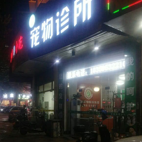 宠物诊所:泉州市南安市溪美街道附近