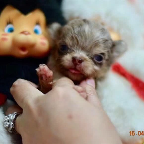 新宠世家俱乐部:漳州市芗城区中闽附近