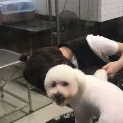 爱狗坊宠物生活馆:漳州市芗城区天下广场附近