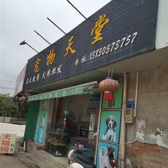 宠物天堂:漳州市芗城区一七五商圈附近