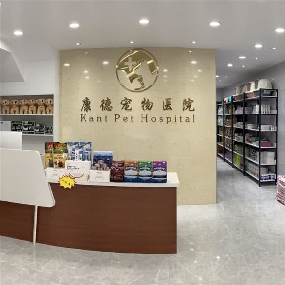 康德宠物医院:漳州市芗城区鑫荣小区附近