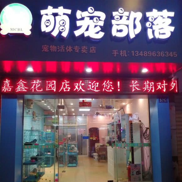 萌宠部落:漳州市芗城区江滨花园附近