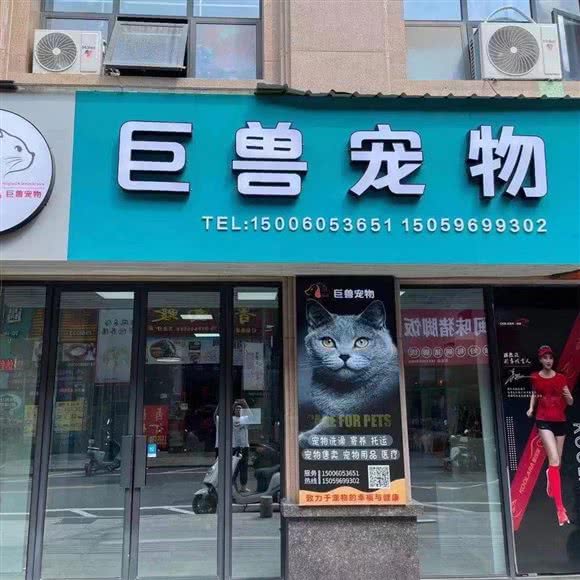 巨兽宠物:漳州市龙文区万达广场附近