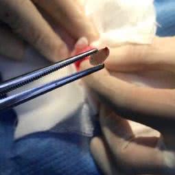 Lee非凡宠物诊所:漳州市云霄县云霄县附近