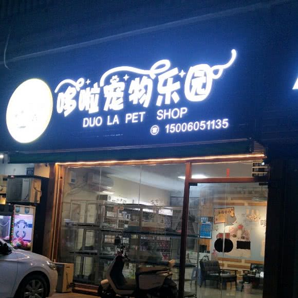 哆啦宠物乐园:漳州市诏安县诏安县附近